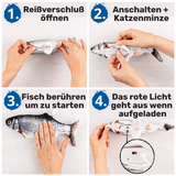 Kätzchen Kumpel - Zappelfisch - trendz24.de
