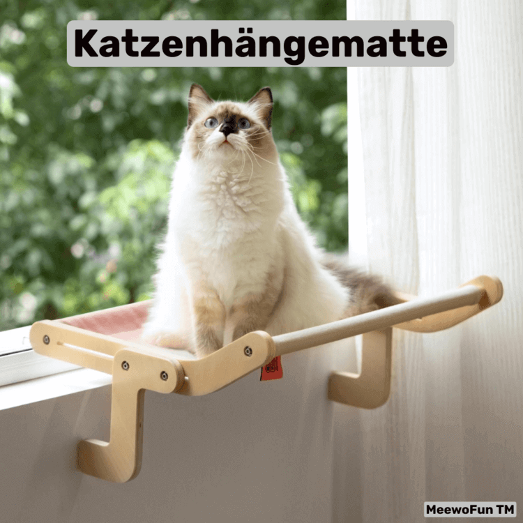 katzen hängematte tchibo MewooFun