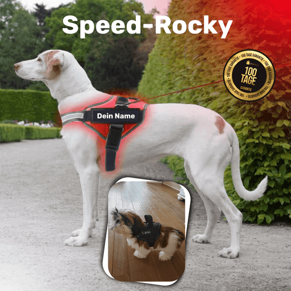 SPEED ROCKY - Würgefreies Hundegeschirr für einen entspannten Hals